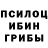 Псилоцибиновые грибы ЛСД Pacifist_UwU