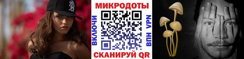 Псилоцибиновые грибы прущие грибы Казань
